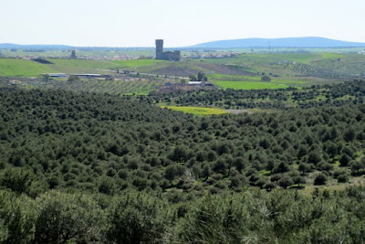 panorámica del Castillo de Sotomayor y Zúñiga desde el monte malagón