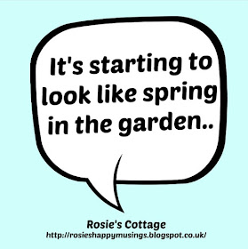 It's starting to look like spring in the garden honeys...