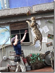 Texas State Aquarium - Wild Flight demonstration
