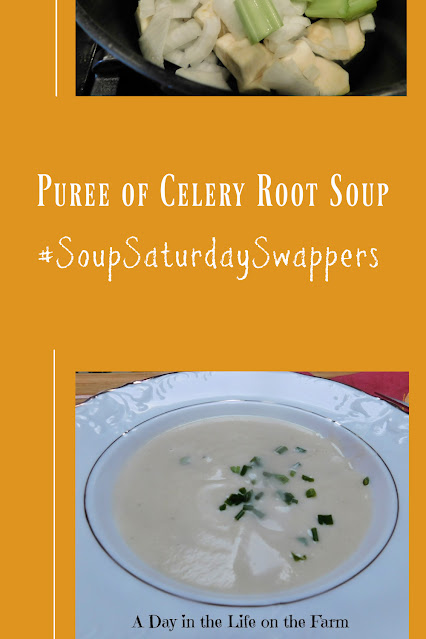 Puree of Celery Root Soup pin