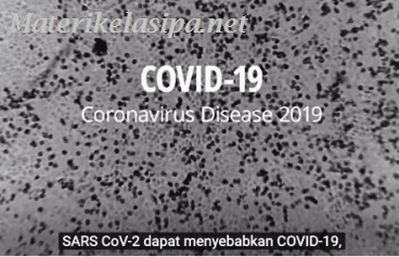 Video Animasi Jika Coronavirus (Covid-19) Menginfeksi Tubuh Seseorang