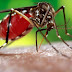 Dengue, a la baja en Yucatán