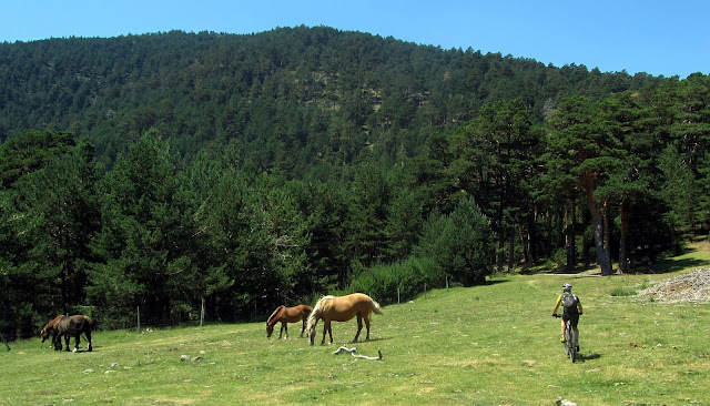 Cerro Camorca - AlfonsoyAmigos