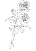 Rosas para colorear . Dibujos infantiles, imagenes cristianas (rosas)