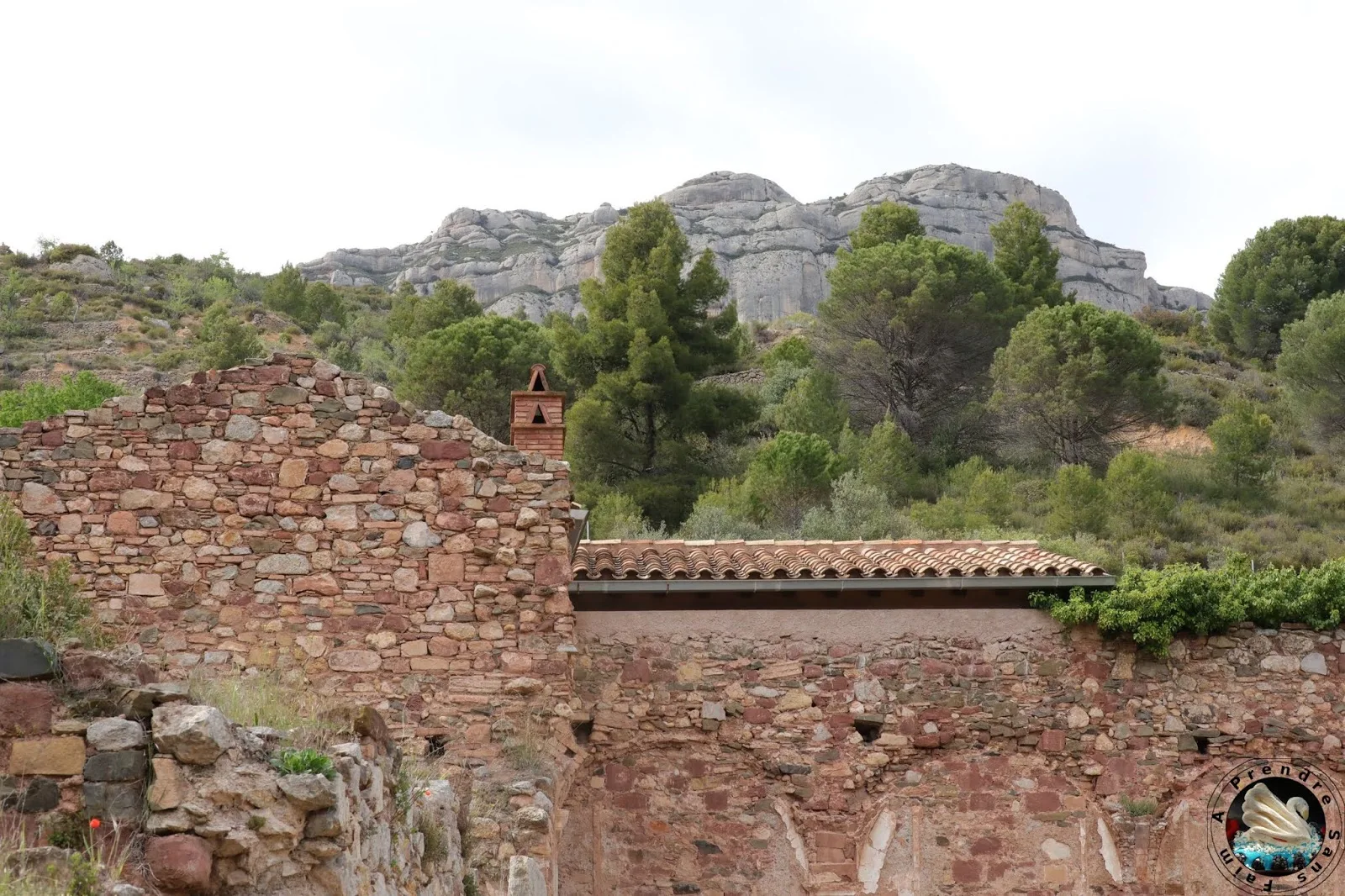 Les origines du Priorat : la Chartreuse de Scala Dei