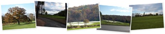 View teddi7291951