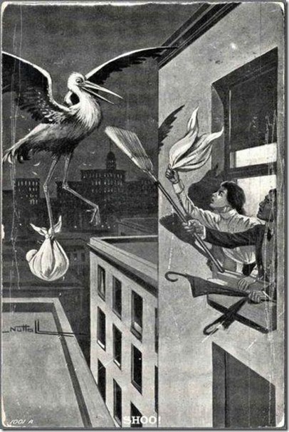 stork