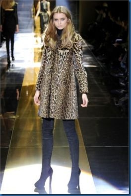 Gucci animalier photos_4