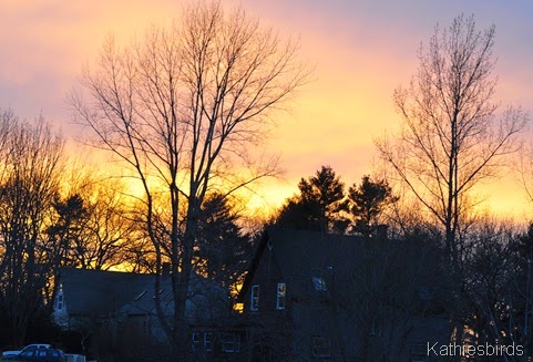 8. Fire in the sky-kab