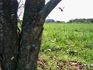 P1060265