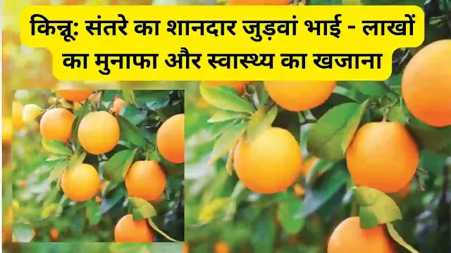 Kinnu ki Kheti
