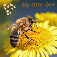 Beautiful story of busy bee