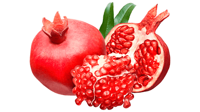 pomegranate fruits clipart