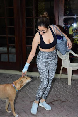 Actress Sophie spotted with a dog  photos
