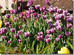 061