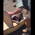 Two White Men to Appear In Court for Forcing Black Man Into a Coffin