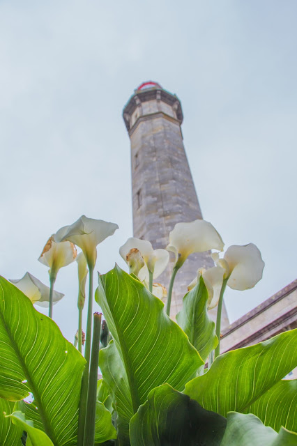 Le phare des Baleines ile de ré