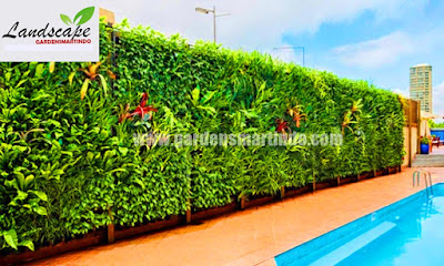 Jasa Tukang Taman Vertikal / Vertical Garden Surabaya