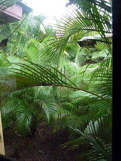 out window in Managua hotel