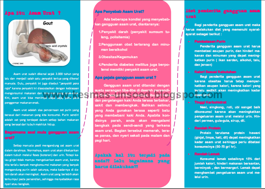 Leaflet Asam Urat (Mata Kuliah Gizi Diit)