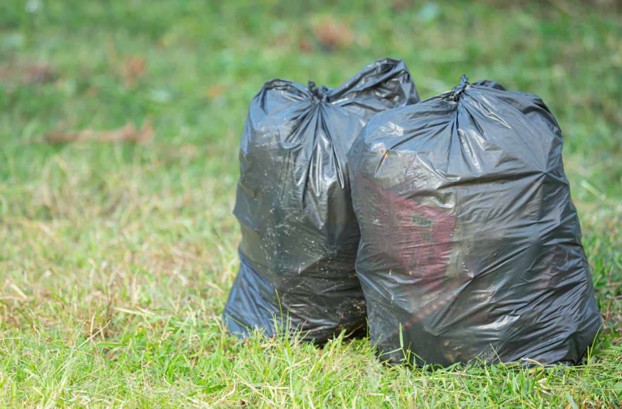 Skip Bin Hire