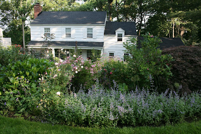 Landscape Ideas Front Yard