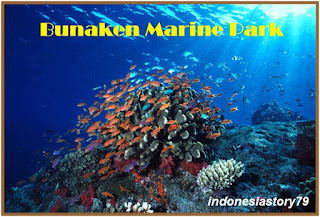 Bunaken Marine Park, Manado, North Sulawesi