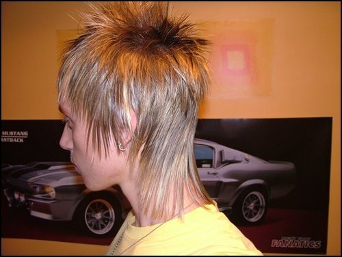 Emo Mullet Hairstyles