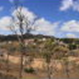View album