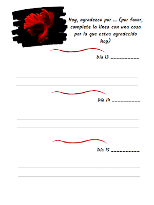 Mi Diario de Gratitud - Para Todos Los Que Aman el ROJO - Diario de Gratitud Para Ninos