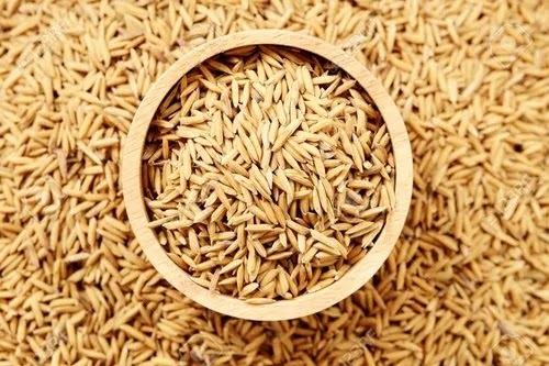 धान (Paddy)