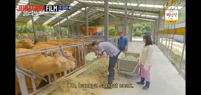 Kenikmatan daging sapi Korea- Paik Class eps 48