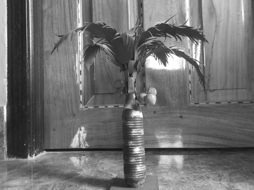  Seven black and white pictures of your daily life: Day- 3