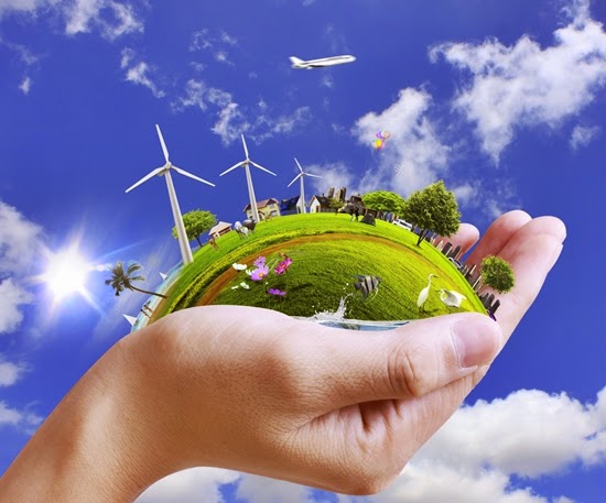 Take Advantage Of Natural Housing Architecture Service Providers and Fight Global Warming