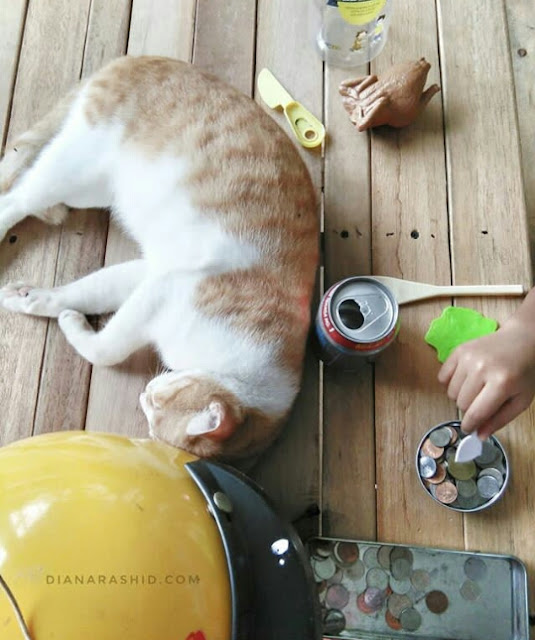 UBAT KUTU KUCING YANG SEKALI PAKAI KUTU KUCING DAH TAK ADA.