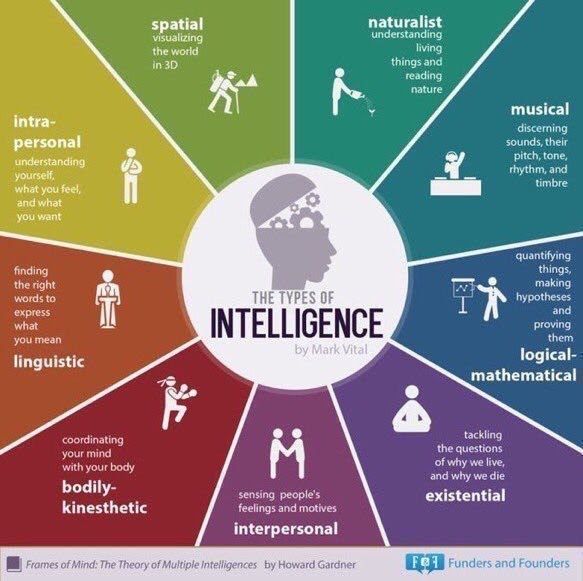 The types of intelligence