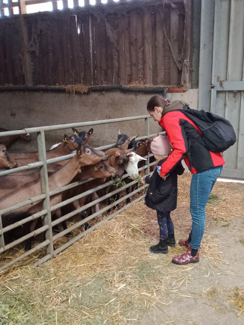 Ukrainian refugees visiting a farm, Indre et Loire, France. Photo Loire Valley Time Travel.