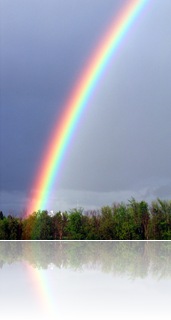 rainbow-too