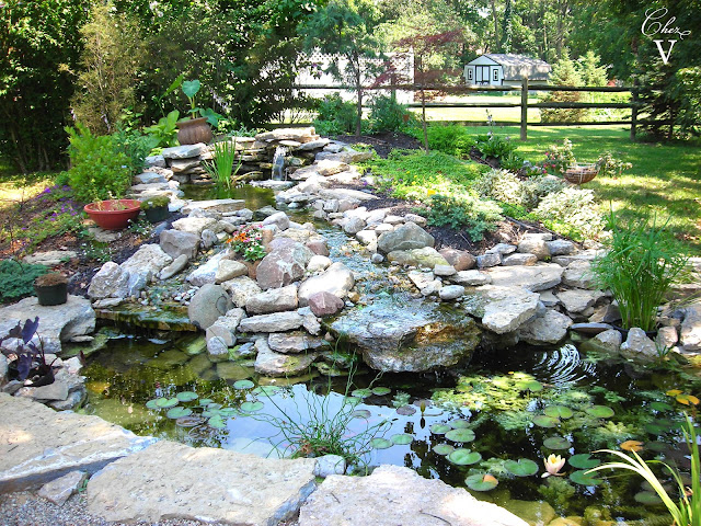 Pond Landscape Design