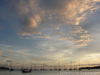DSC09596