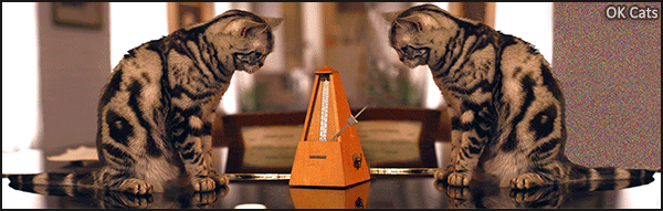 Art Cat GIF • Cinemagraph • 2 still Bengal cats watching a metronome. 'Bro, what kind of sorcery is this?' [ok-cats-gifs.com]