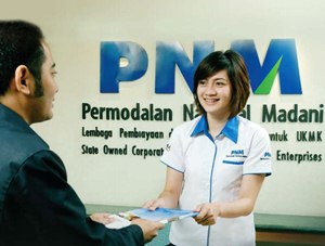 PT Permodalan Nasional Madani (Persero)