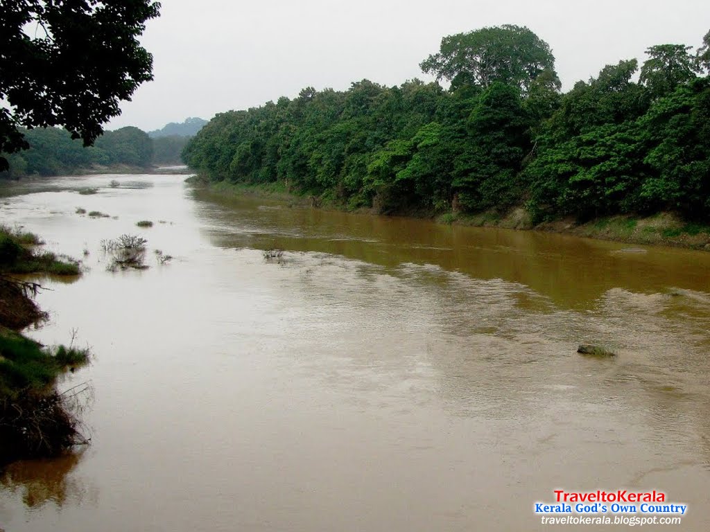 Day Out Kerala Chaliyar River