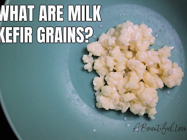 What are Milk Kefir Grains?