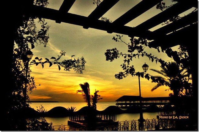 djerba  THE ISLAND OF DREAMS (10)
