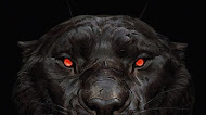 Black Tiger Glowing Eye