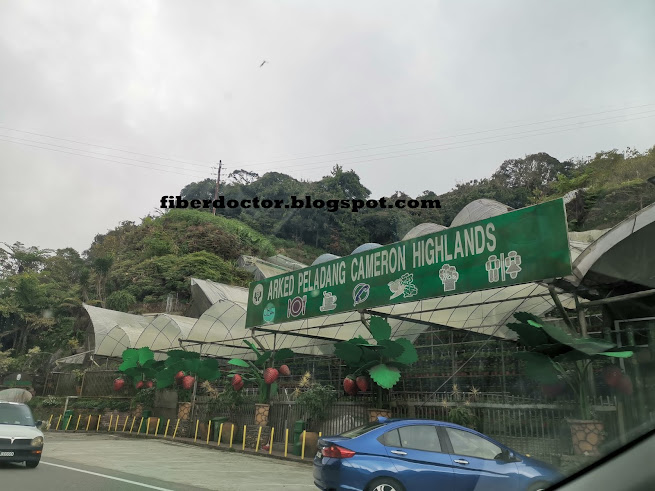 Nur Ida: Apa yang Ada di Kea Farm Cameron Highlands?