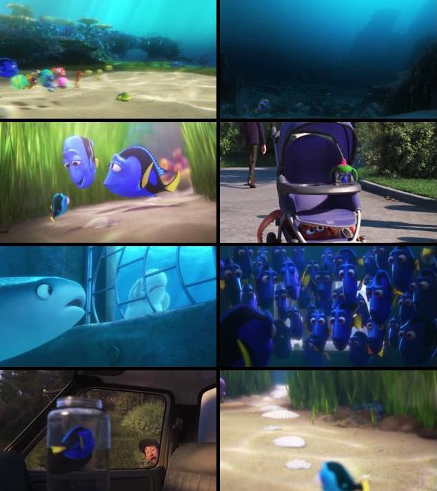 Finding Dory 2016 Dual Audio ORG Hindi 480p BluRay