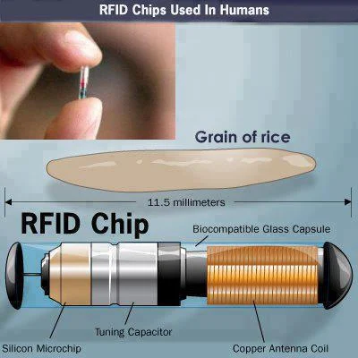 Αποτέλεσμα εικόνας για microchip666