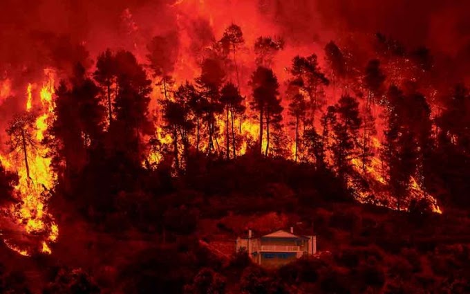 42 Χρόνια καθεστώς τρομοκρατίας : Καταστράφηκε το 13,8% της συνολικής έκτασης της πατρίδας μας